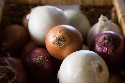 onion storage