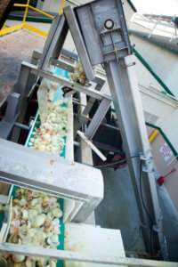 Onion Power - sustainability