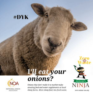Onion sustainability