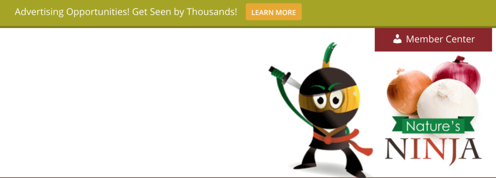 Website advertising example