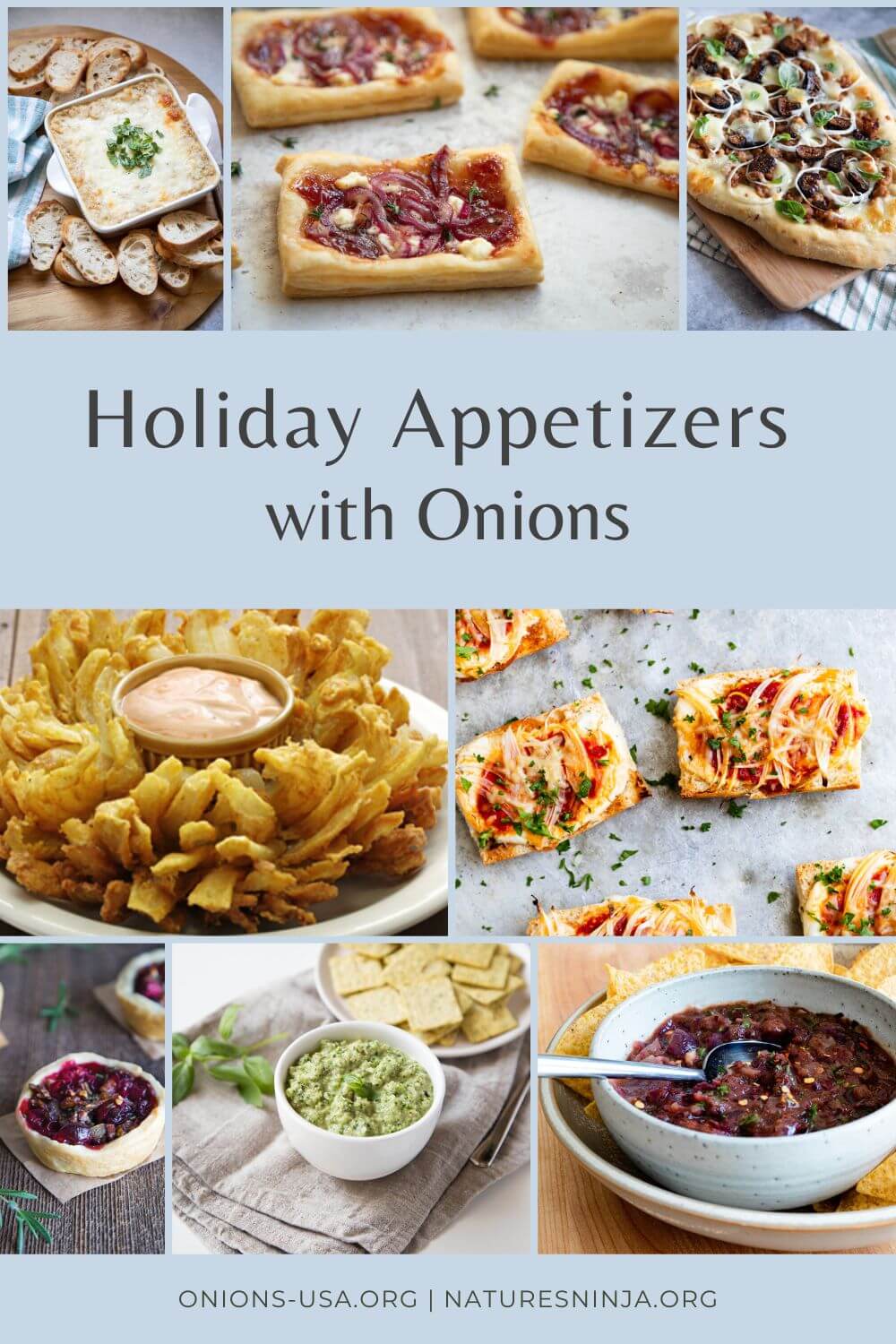 Holiday appetizers with Onions