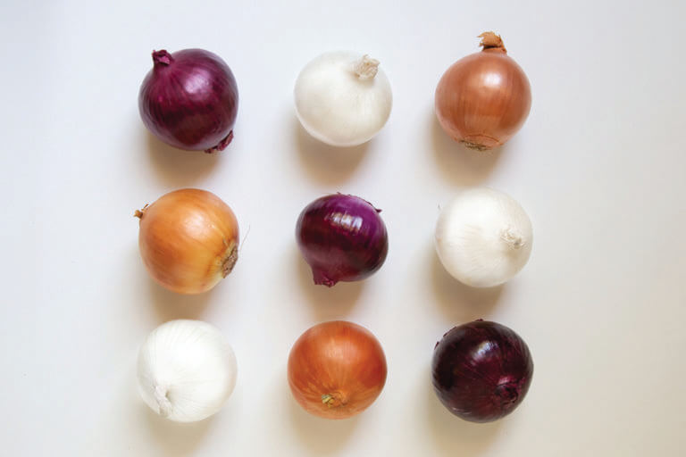 Eating Healthy in the New Year: How Onions Can Transform Your Meals